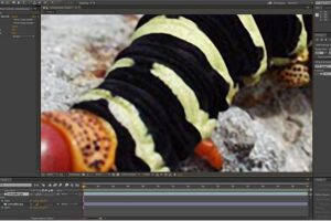 Adobe Updates To Creative Cloud Pro Video Apps Now Available