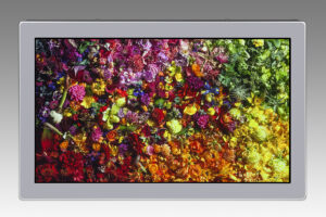 First 17.3″ 8K Monitor Available