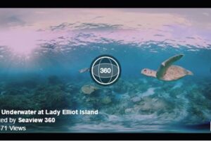 Your Daily VR Fix, Today: Lady Elliot Island 360