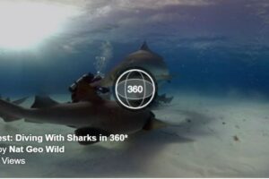 Your Daily VR Fix, Today: SharkFest 360