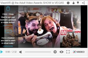 Your Daily VR Fix, Today: VixenVR @ the Adult Video Awards SHOW in VEGAS