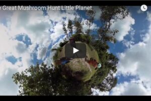 Your Daily 360 VR Fix: The Great Mushroom Hunt, Little Planet Style