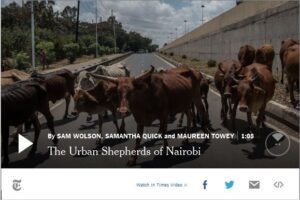 Your Daily 360 VR Fix: The Urban Shepherds of Nairobi