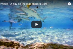 Your Daily Explore 360 VR Fix: A Day on the Lagoon Bora Bora