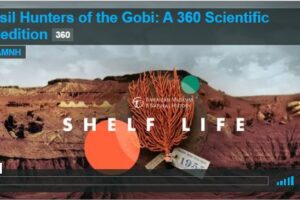 Your Daily Explore 360 VR Fix: Fossil Hunters of the Gobi: A 360 Scientific Expedition