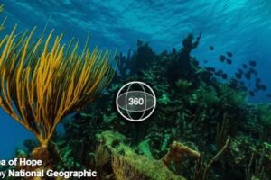 Your Daily Explore 360 VR Fix: 360° Sea of Hope National Geographic