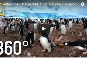 Your Daily Explore 360 VR Fix: 360° Antarctica – Unexpected Snow | National Geographic