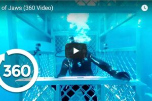 Your Daily Explore 360 VR Fix: Isle of Jaws 360 Video