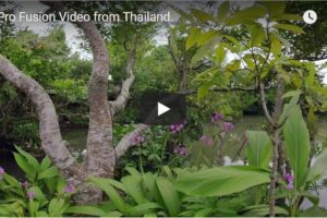 Your Daily Explore 360 VR Fix: GoPro Fusion Video from Thailand