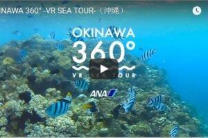 Your Daily Explore 360 VR Fix: OKINAWA 360° -VR SEA TOUR