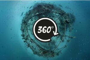 Your Daily Explore 360 VR Fix: 360° | Biorock Reef Restoration (underwater video 4K)