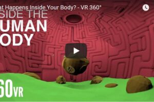 Your Daily Explore 360 VR Fix: What Happens Inside Your Body? – VR 360°