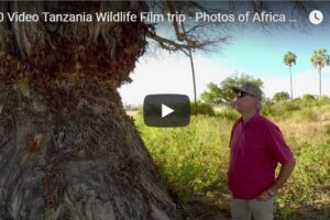 Your Daily Explore 360 VR Fix: 360 Video Tanzania Wildlife Film trip – Photos of Africa VR Safari