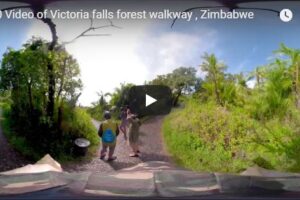 Your Daily Explore 360 VR Fix: 360 Video of Victoria falls forest walkway , Zimbabwe