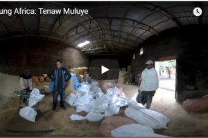 Your Daily Explore 360 VR Fix: Young Africa: Tenaw Muluye