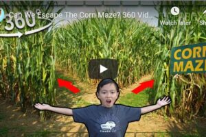 Your Daily Explore 360 VR Fix: Can We Escape The Corn Maze? 360 Video!