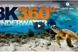 Your Daily VR180/ 360 VR Fix: 360 videos underwater 8K