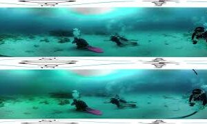 Your Daily VR180/ 360 VR Fix: Mantas in the Maldives-Vuze+_3D_360