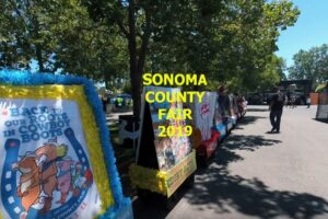 Your Daily VR180/ 360 VR Fix: Sonoma County Fair 2019