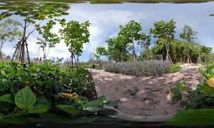 VR Getaway to Thailand The Flowers at Khao Yai Winery VR Getaway Part One