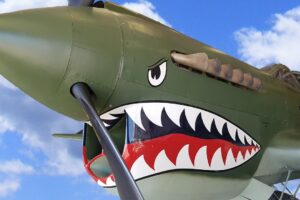Flying On Top of the P40E Warhawk 360