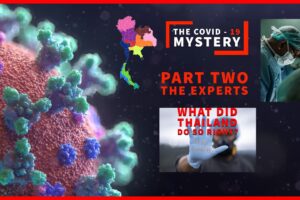 The COVID-19 Mystery The Experts Part Two