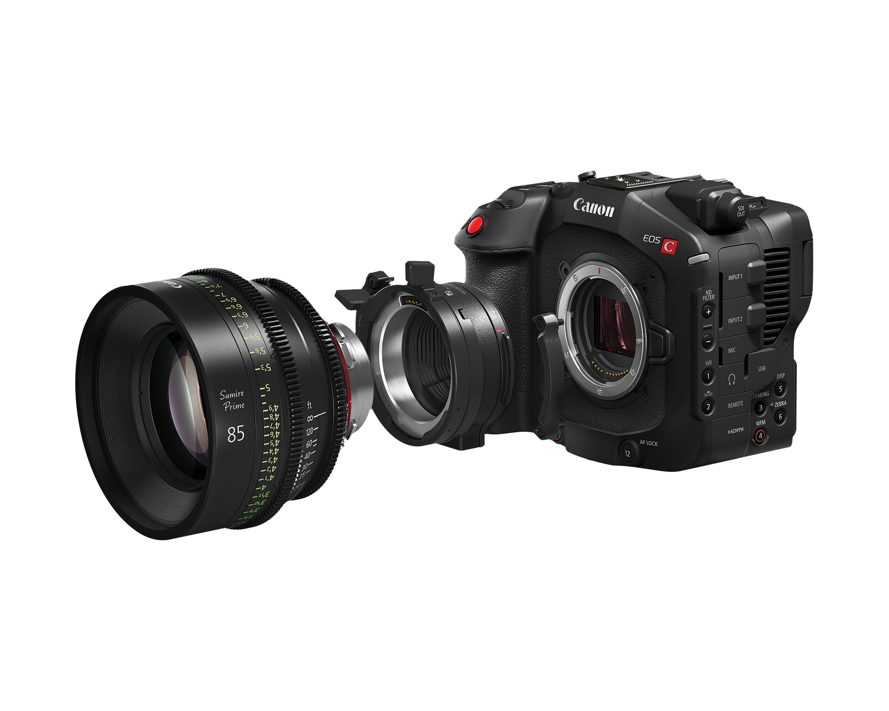 Canon EOS C80 6K Full-Frame Cinema Camera