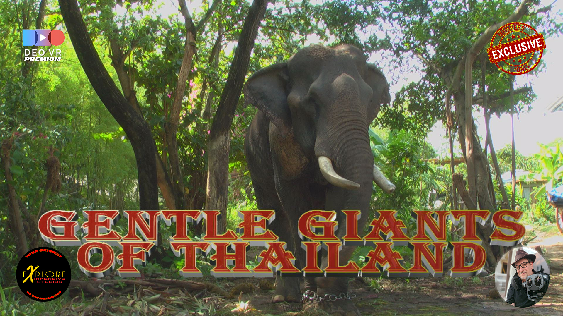 The Gentle Giants of Thailand - Elephants are the major icon of Thailand. Explore3D Travel took unique footage of Thai elephant preserves in Pattaya and Ayutthaya. These magnificent animals, including mothers and infants are captured up close and intimately with our state of the art 3D technology.